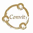 Convit Central gmbH